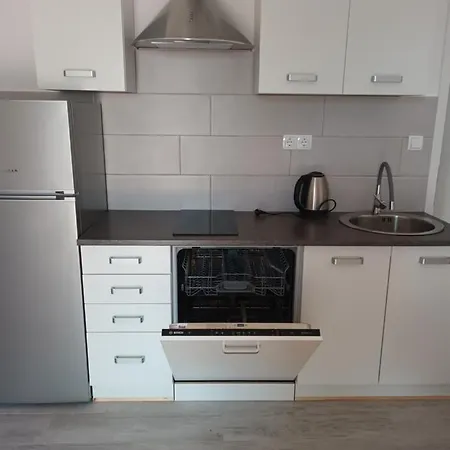 Olga Apartman *